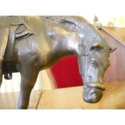 Cavallo in bronzo