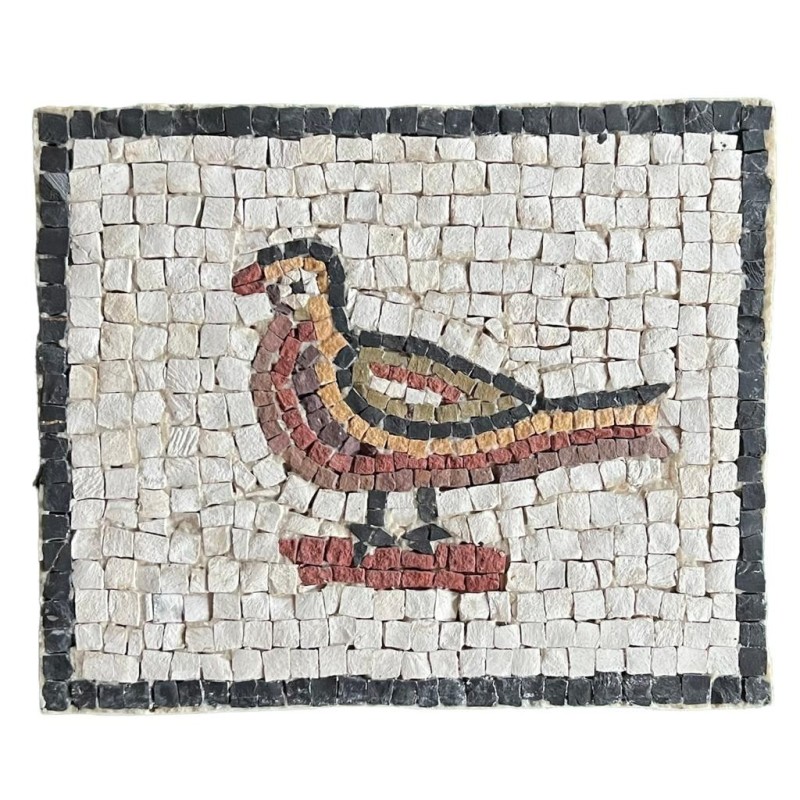 Mosaico primi 900 Nord Libia